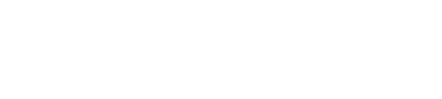 Bosch-logo white
